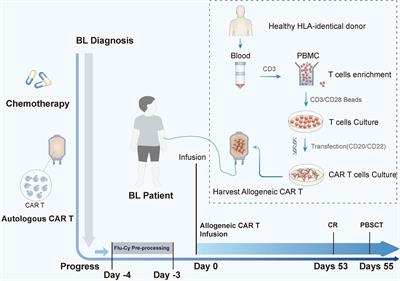 Case Report: Unedited allogeneic chimeric antigen receptor T cell bridging to conditioning-free hematopoietic stem cell transplantation for a child with refractory Burkitt lymphoma